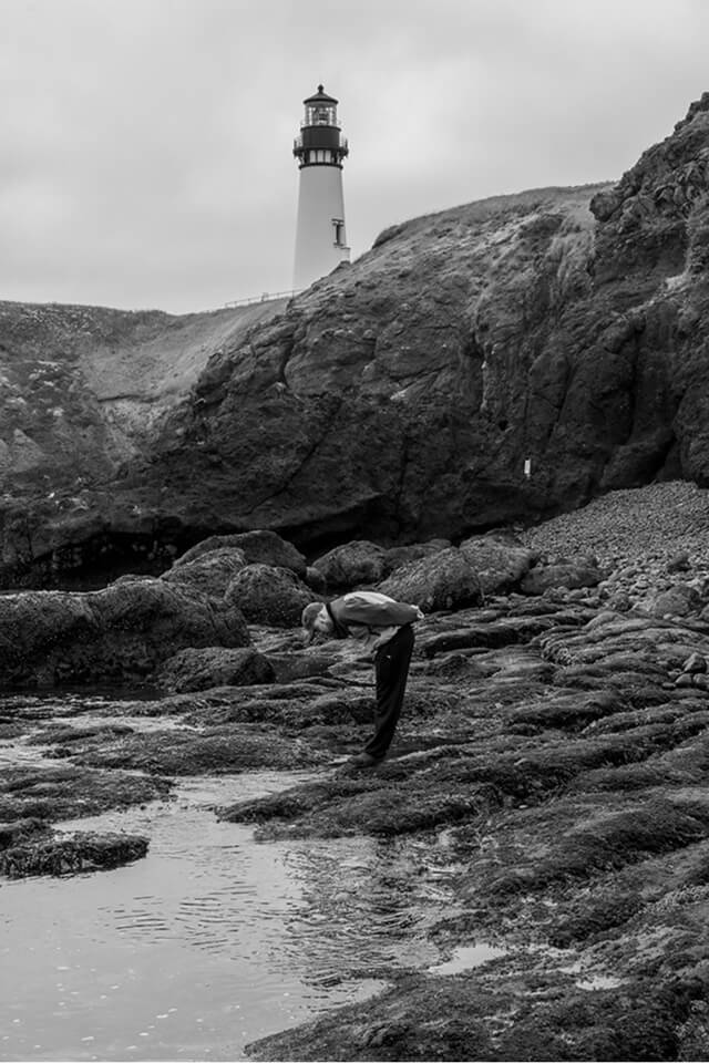 Tidepooling in Oregon